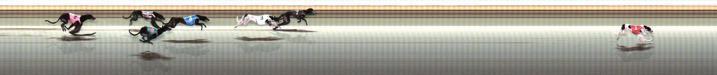 Photo finish for Warrnambool Race 7