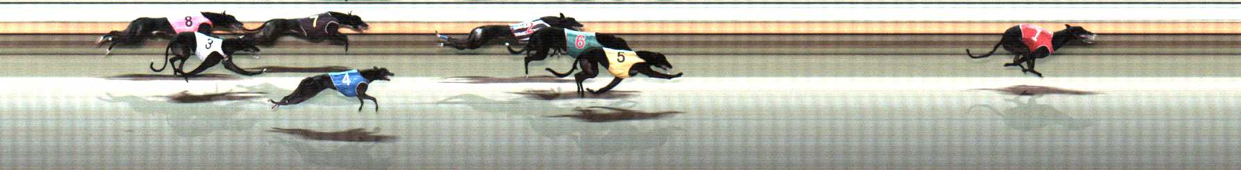 Photo finish for Warrnambool Race 8
