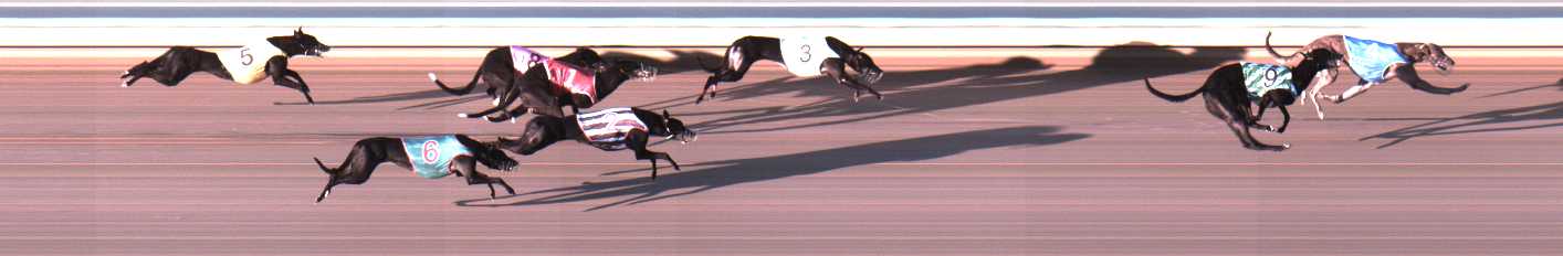 Photo finish for Warrnambool Race 1