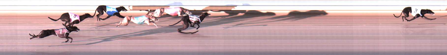 Photo finish for Warrnambool Race 2
