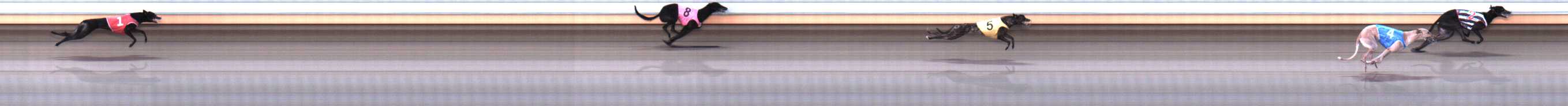 Photo finish for Warrnambool Race 3