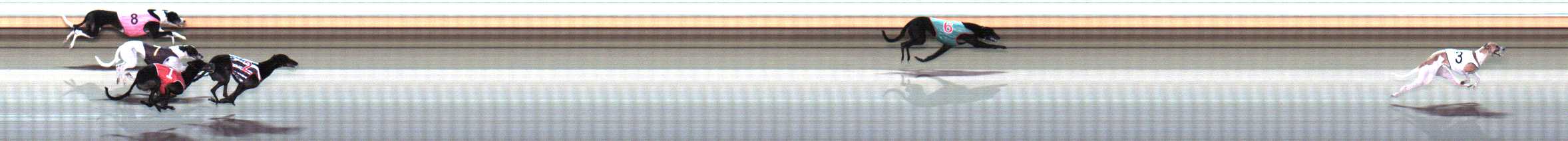 Photo finish for Warrnambool Race 4