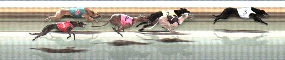 Photo finish for Warrnambool Race 5