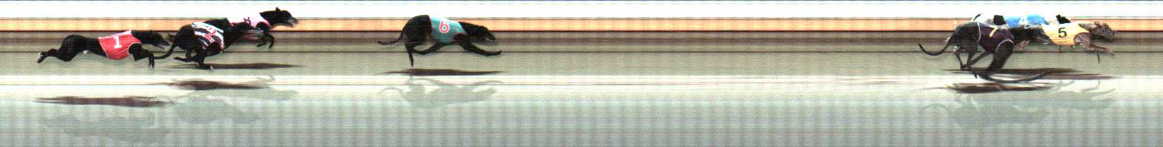 Photo finish for Warrnambool Race 7