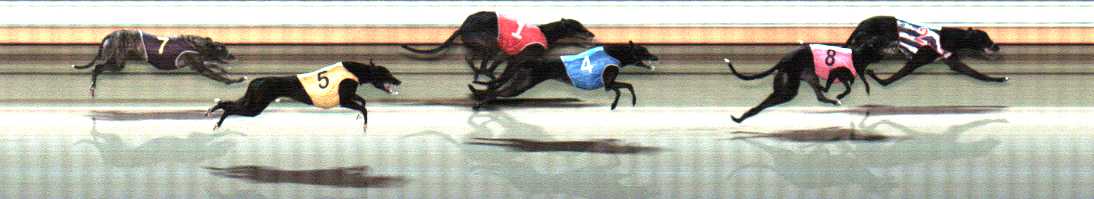 Photo finish for Warrnambool Race 9