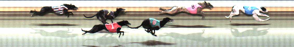 Photo finish for Warrnambool Race 10