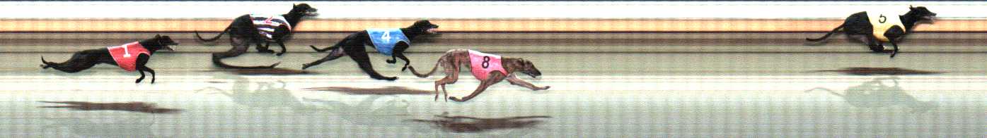 Photo finish for Warrnambool Race 11