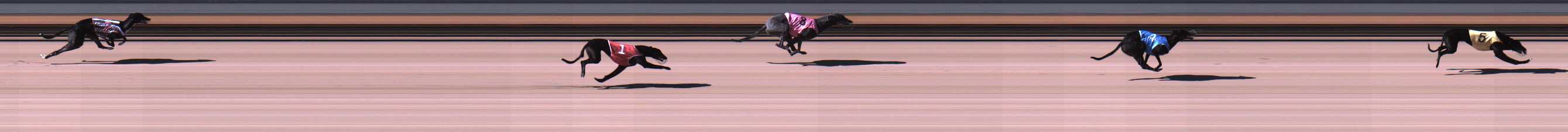 Photo finish for Warrnambool Race 1