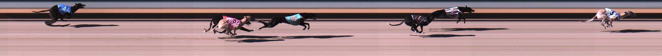 Photo finish for Warrnambool Race 2