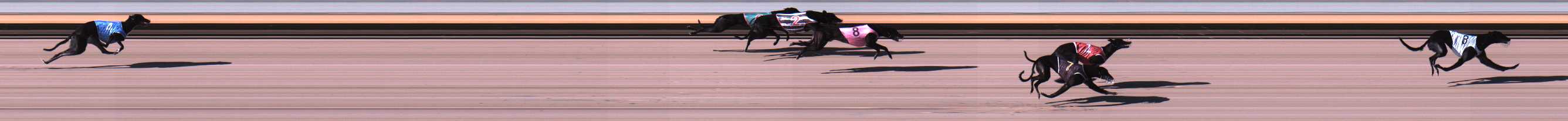 Photo finish for Warrnambool Race 3