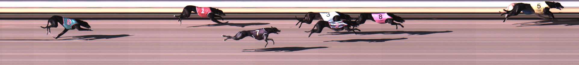 Photo finish for Warrnambool Race 4