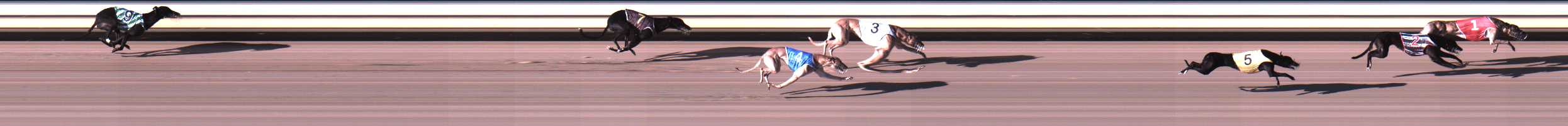 Photo finish for Warrnambool Race 5