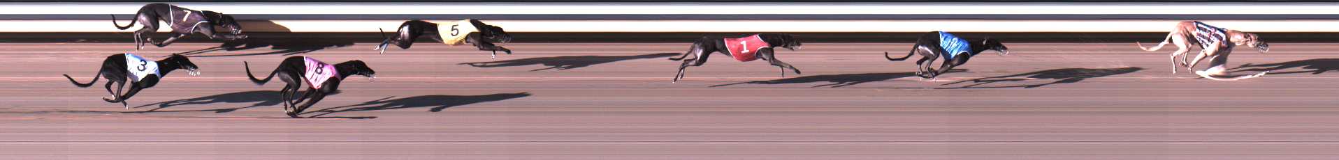 Photo finish for Warrnambool Race 6