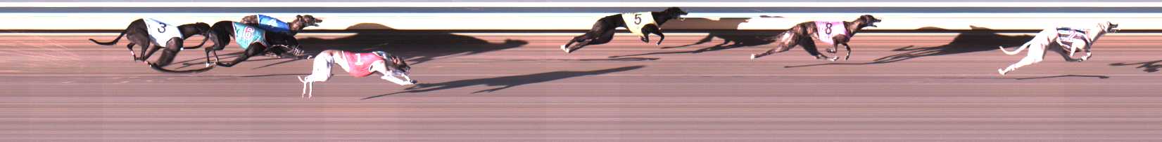 Photo finish for Warrnambool Race 7