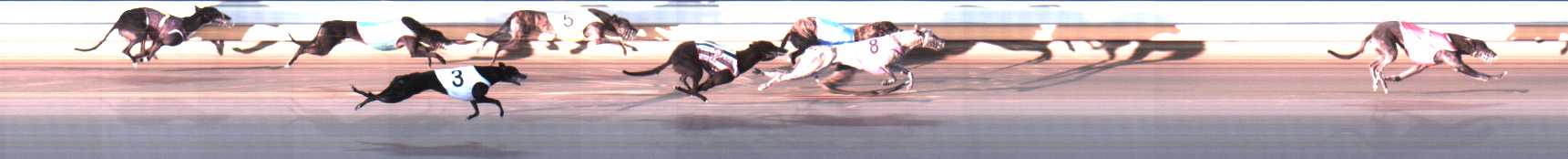 Photo finish for Warrnambool Race 9