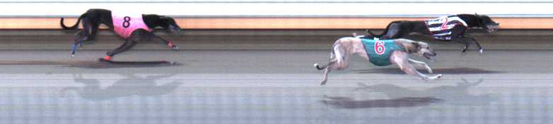 Photo finish for Warrnambool Race 10