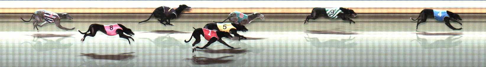 Photo finish for Warrnambool Race 12