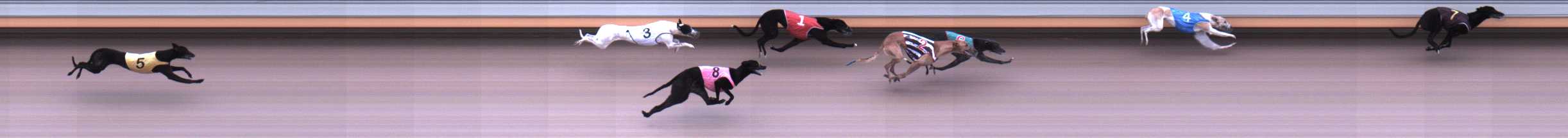 Photo finish for Warrnambool Race 2
