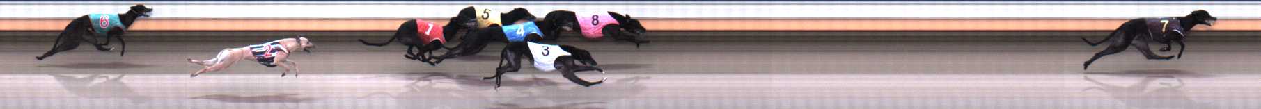 Photo finish for Warrnambool Race 3