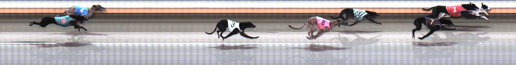 Photo finish for Warrnambool Race 4
