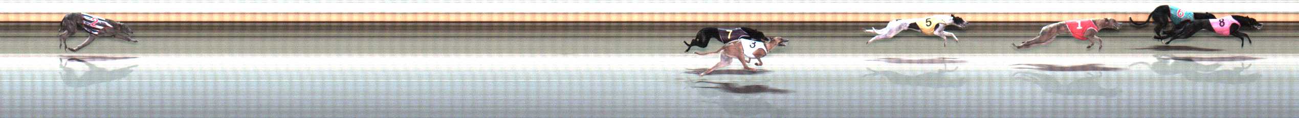 Photo finish for Warrnambool Race 5