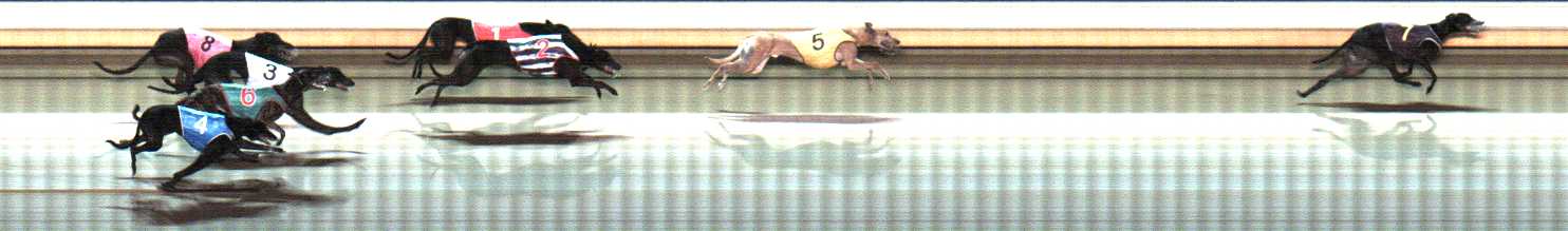 Photo finish for Warrnambool Race 7