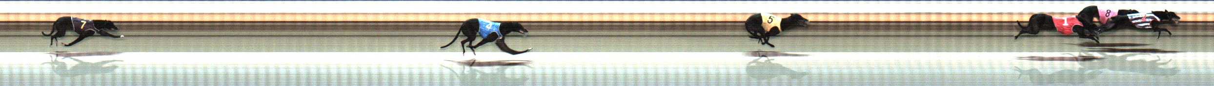 Photo finish for Warrnambool Race 9