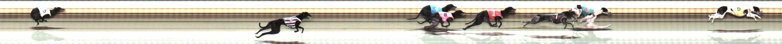 Photo finish for Warrnambool Race 10