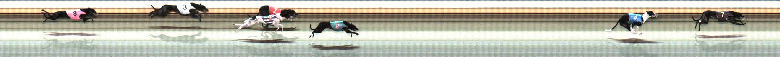 Photo finish for Warrnambool Race 11