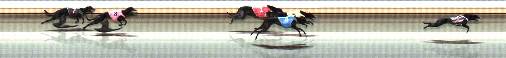 Photo finish for Warrnambool Race 12