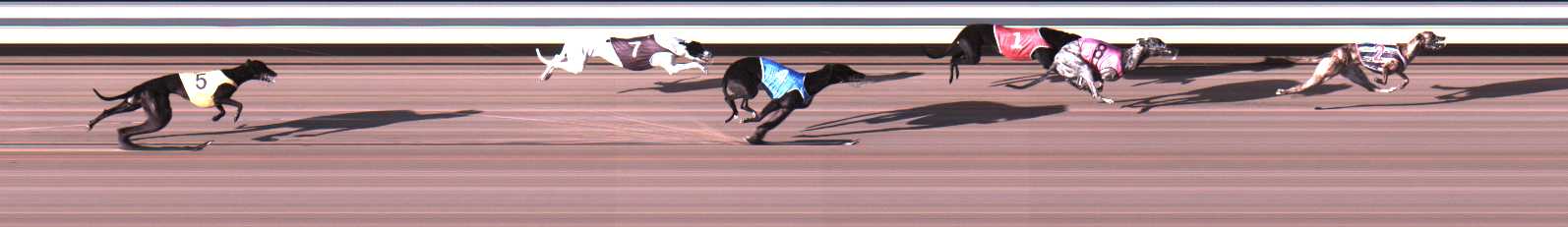 Photo finish for Warrnambool Race 1