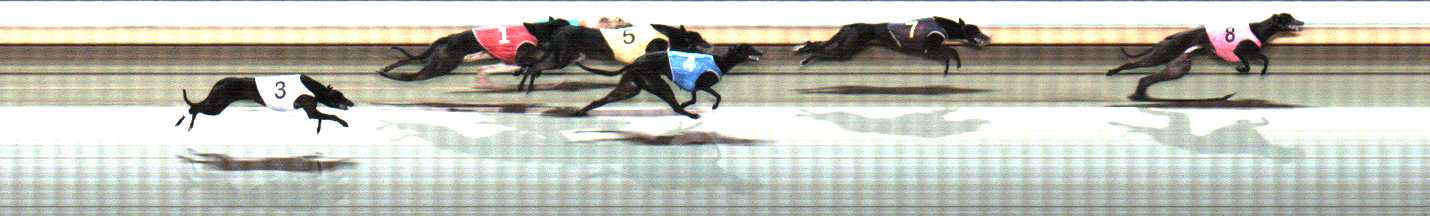 Photo finish for Warrnambool Race 10