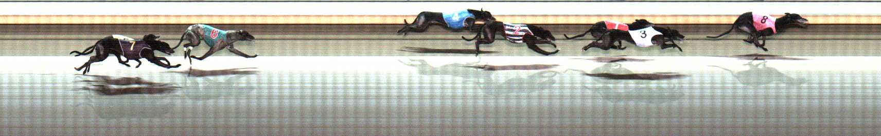 Photo finish for Warrnambool Race 11