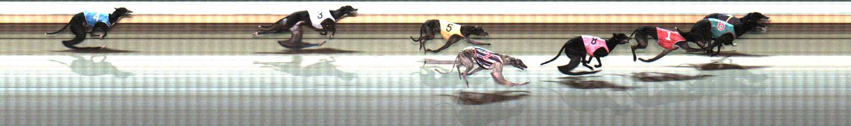 Photo finish for Warrnambool Race 12