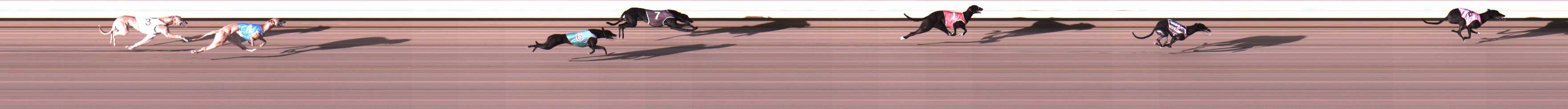 Photo finish for Warrnambool Race 2