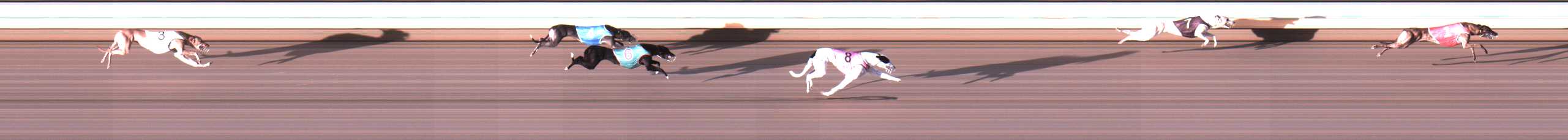Photo finish for Warrnambool Race 3