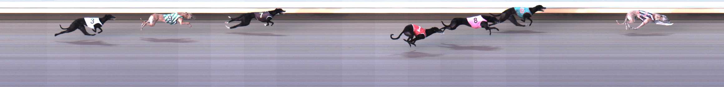 Photo finish for Warrnambool Race 4