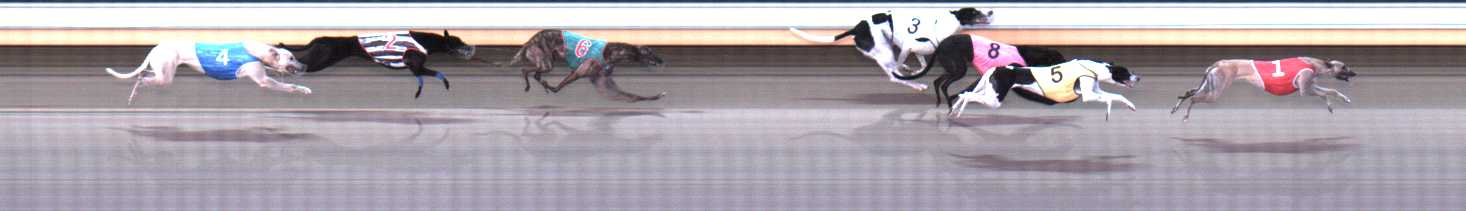 Photo finish for Warrnambool Race 5