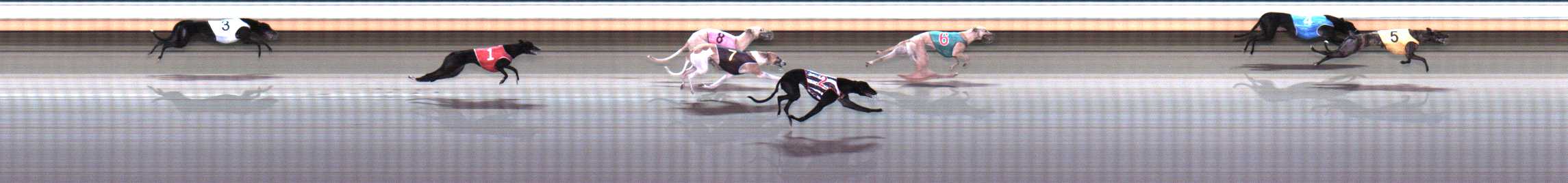 Photo finish for Warrnambool Race 6