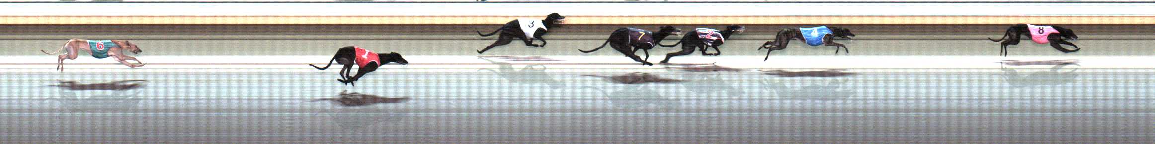 Photo finish for Warrnambool Race 7