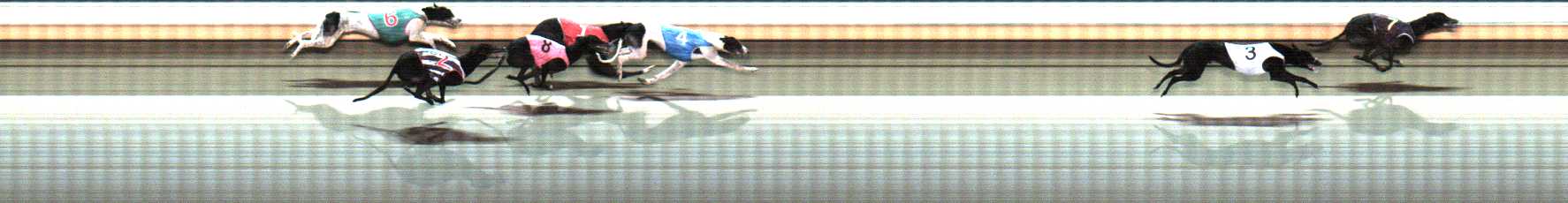 Photo finish for Warrnambool Race 8