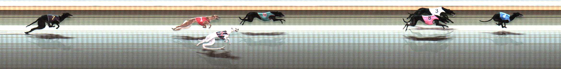 Photo finish for Warrnambool Race 9