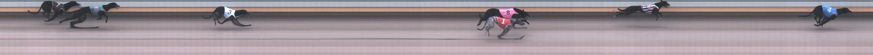 Photo finish for Warrnambool Race 1