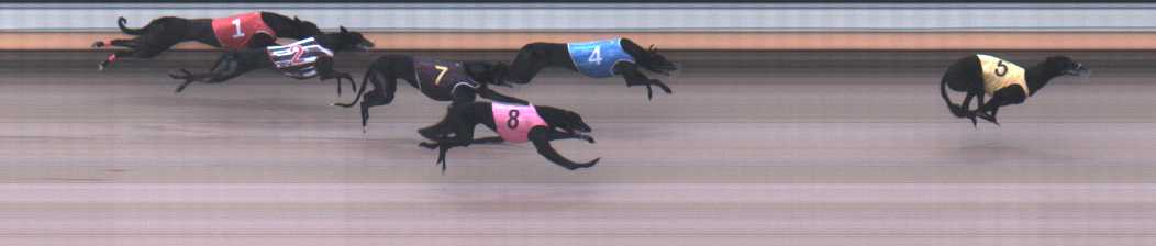 Photo finish for Warrnambool Race 2
