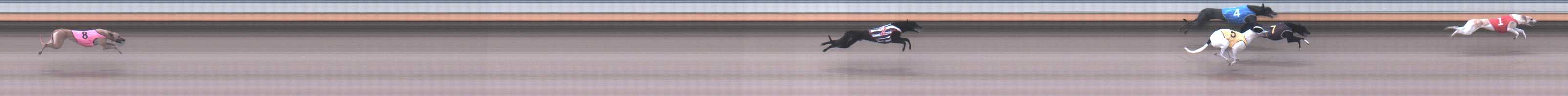 Photo finish for Warrnambool Race 3