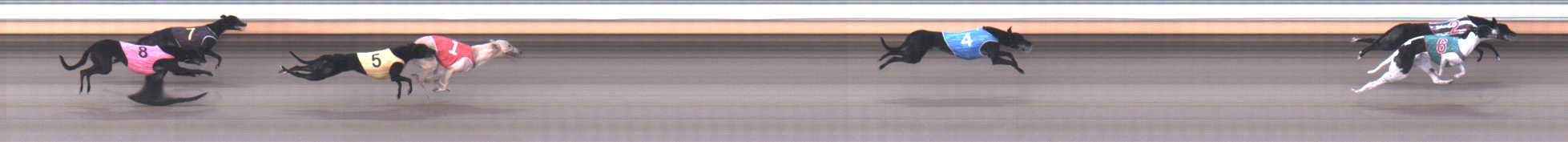Photo finish for Warrnambool Race 4