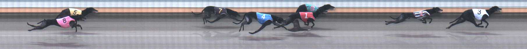 Photo finish for Warrnambool Race 5