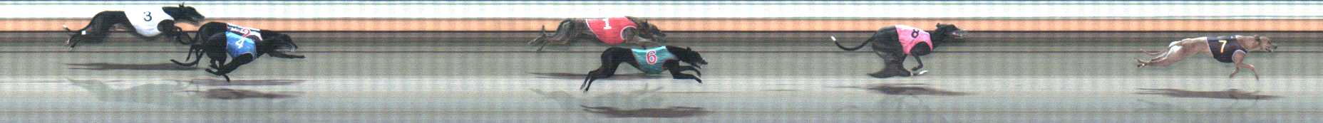 Photo finish for Warrnambool Race 6