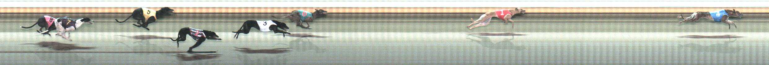 Photo finish for Warrnambool Race 7