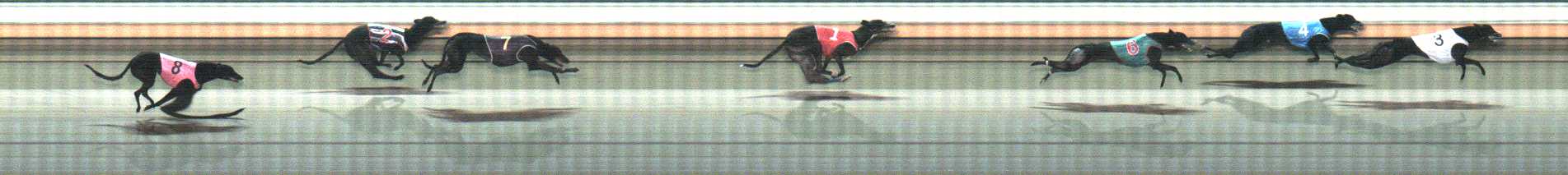 Photo finish for Warrnambool Race 8